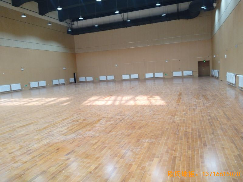 ɽ�|���u�����^(q��)�����С�W(xu��)�\��ľ�ذ���O(sh��)����