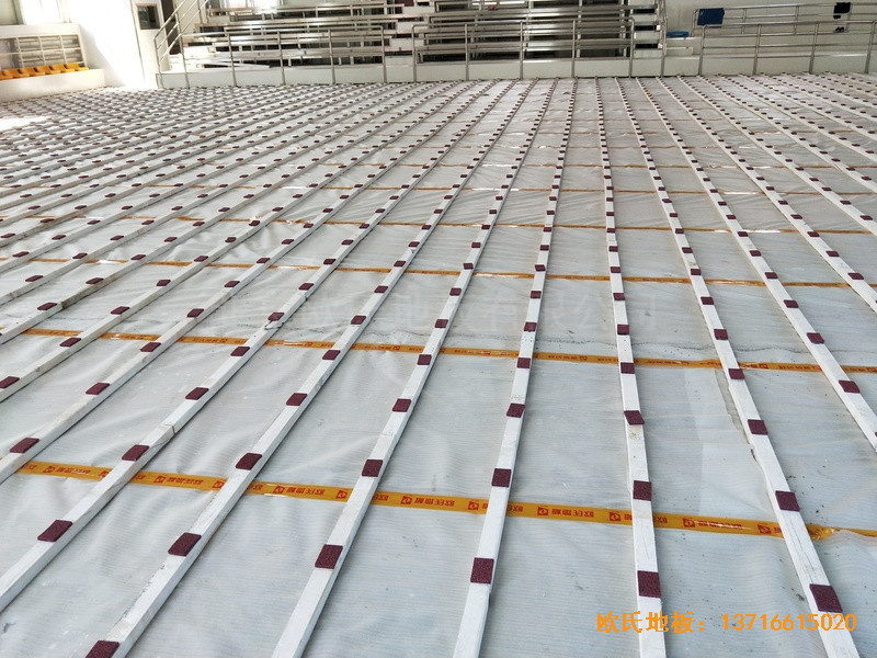 ɽ���x�Ǻ�ʥ������˾�@���^�w��ľ�ذ尲�b����1