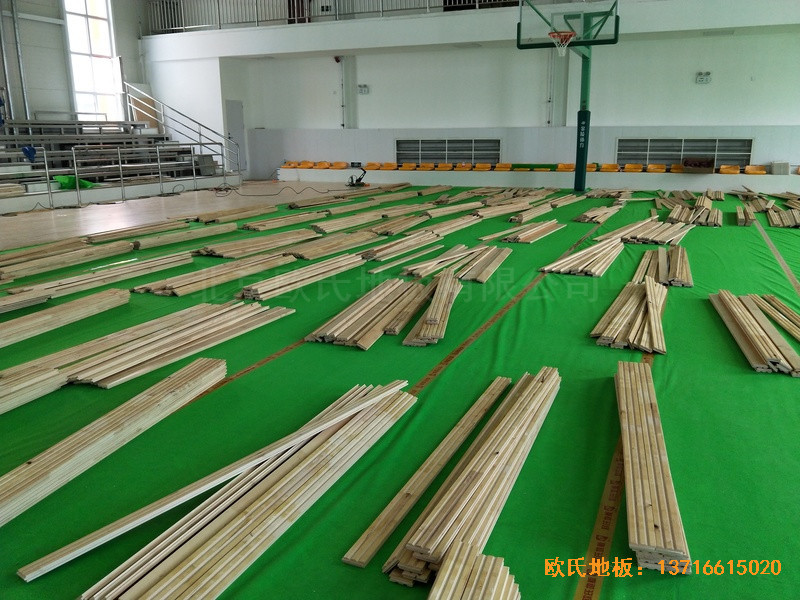 ɽ���x�Ǻ�ʥ������˾�@���^�w��ľ�ذ尲�b����2