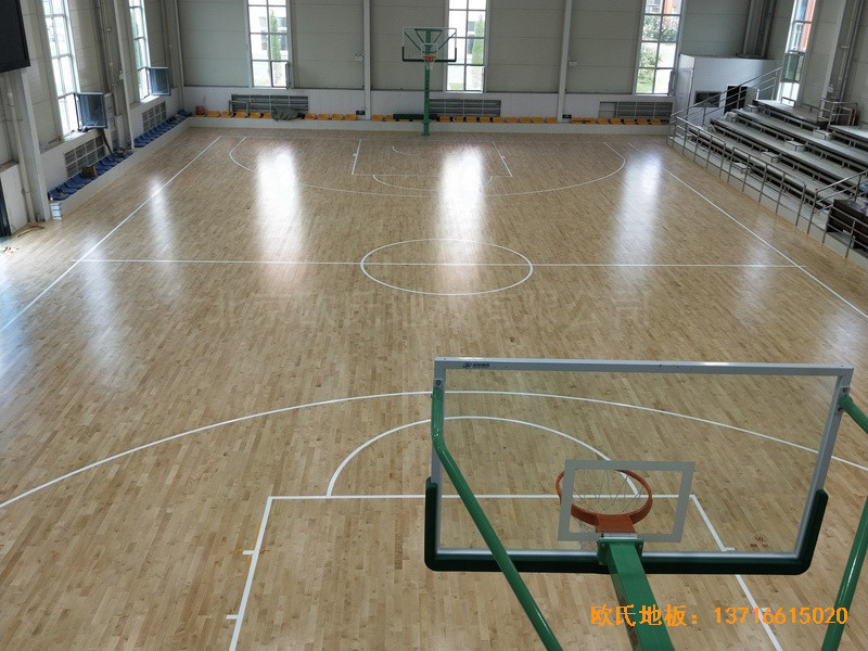 ɽ���x�Ǻ�ʥ������˾�@���^�w��ľ�ذ尲�b����4