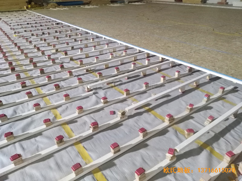 �����S���I�����Mվ�@���^�\�ӵذ���b����2