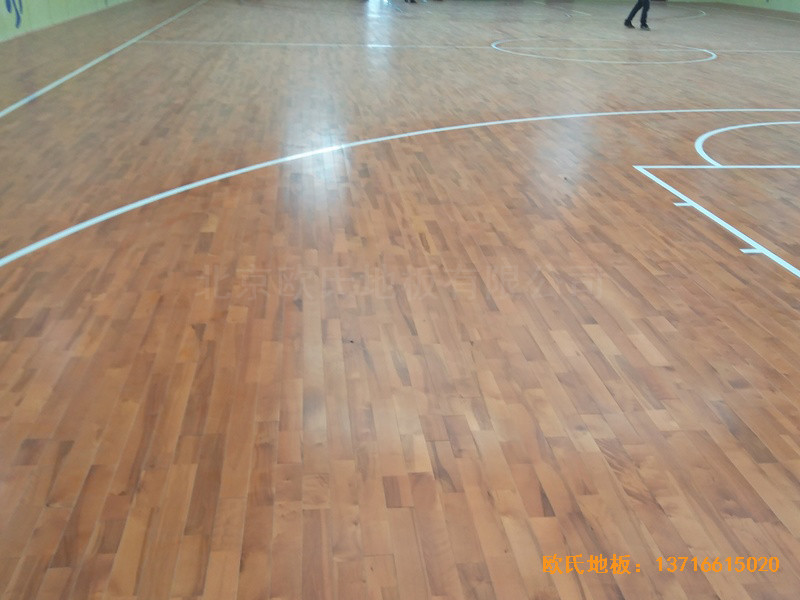 �ú���F���V���^�\�ӵذ尲�b����1