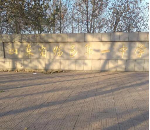 ɽ�|�����R����Ҫ�ЌW�w���^ľ�ذ�ɹ�����