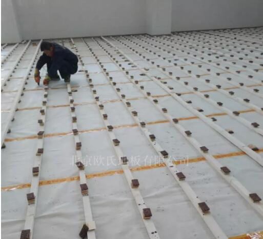 ɽ�|�����R����Ҫ�ЌW�w���^ľ�ذ�ɹ�����