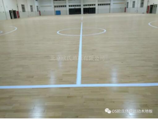 ɽ�|�����R����Ҫ�ЌW�w���^ľ�ذ�ɹ�����