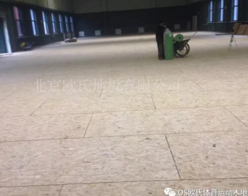 �Ͼ��w���WԺ��ë���^ľ�ذ�ɹ�����