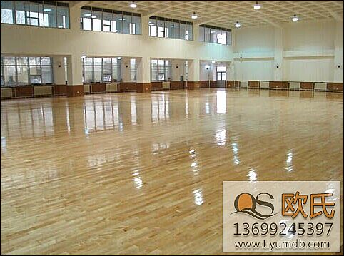 ��(sh��)ľ�w���ذ�oȩ���Cȩ����