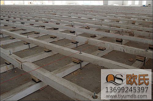 �w���ذ�,�w��ľ�ذ�