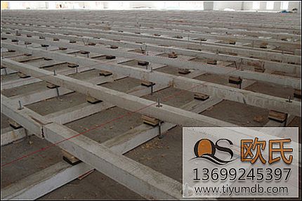 �w���\�ӵذ僞(y��u)�x��ľ����ľ