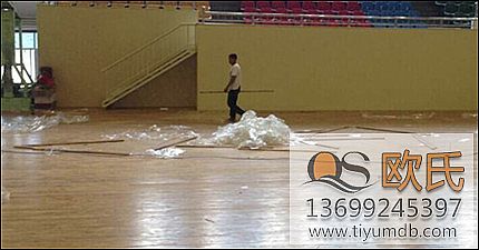 ��ľ�w���ذ�����w�rֵ��ʲô