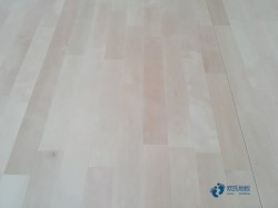 �p���ǻ@���\��ľ�ذ屣�B(y��ng)֪�R