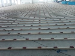 ��ʲô�@��ľ�ذ�r(ji��)������