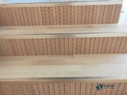 22mm���w���\��ľ�ذ��ИI(y��)Ʒ��