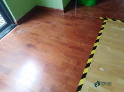 ���a(ch��n)�@���w���ذ��M(f��i)��