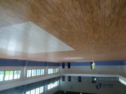 �����w���\(y��n)��(d��ng)ľ�ذ��Ă�(g��)���ӵĺ�