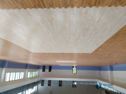 �@���(ch��ng)ľ�ذ��Ă�(g��)�����^��