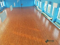 25���\(y��n)���^ľ�ذ�����