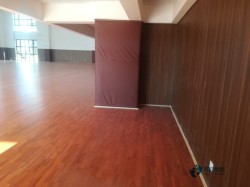 22mm���w�����ذ��Ă����ӭh(hu��n)��