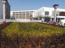 �҃�(n��i)�\(y��n)��(d��ng)ľ�ذ��o(h��)��