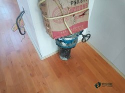 ��ľ���_�\(y��n)���w��ľ�ذ��^�õ�����Щ����