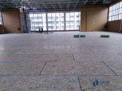 ��ľ���_�\�ӈ���ľ�ذ��ķN���Ӻ�